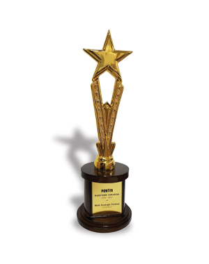 Paytm PARTNER AWARDS 2018-2019